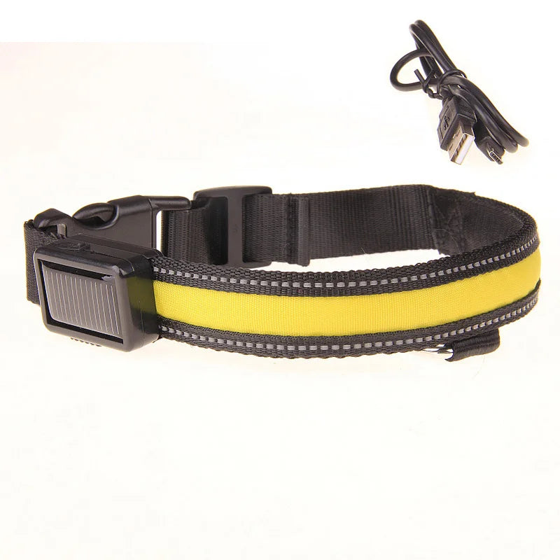 Solar Charging Led Dog Collar USB Rechargeable Night Safety Collar Perro Led Usb Adjustable Pet Led Dog Collar Light Usb Glowing