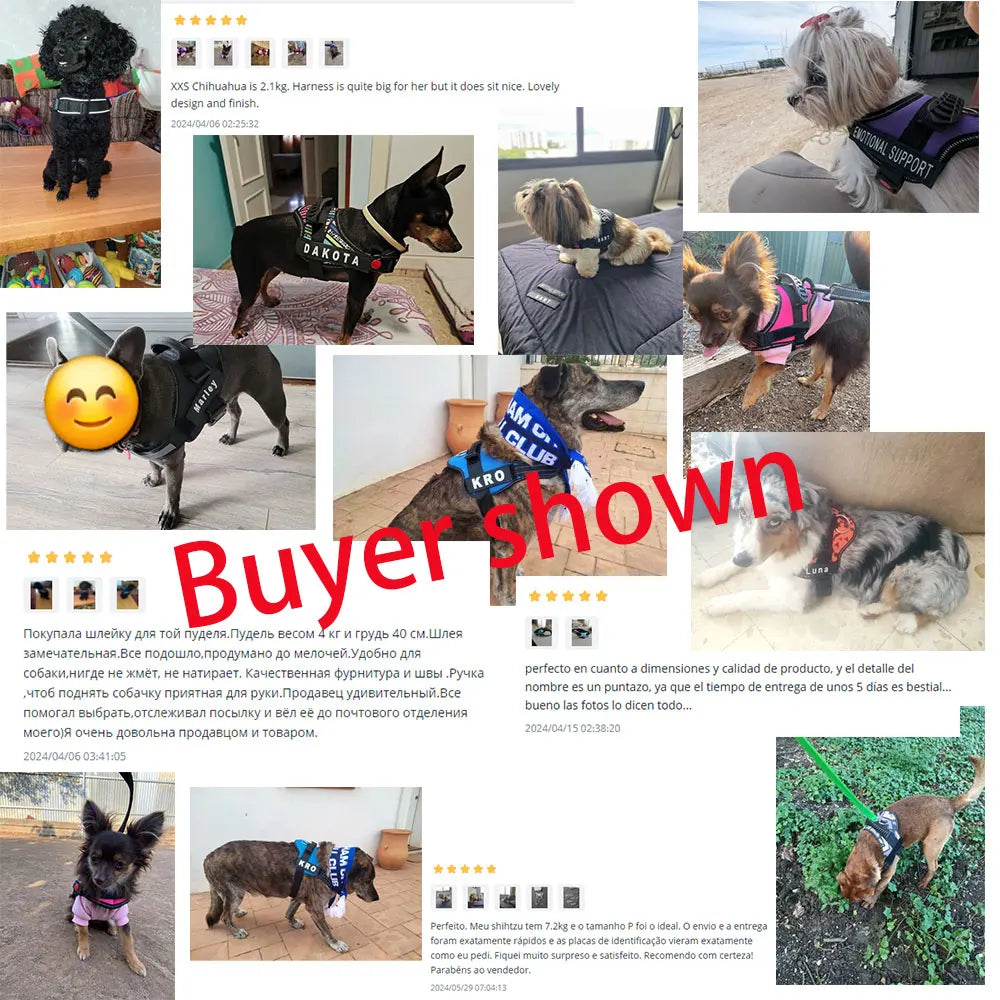 Pet Customizable Harness Vest for Small Medium Large Dog Classic Luxury Walking Dog Harness Adjustable No Pull Safe Pet Supplies
