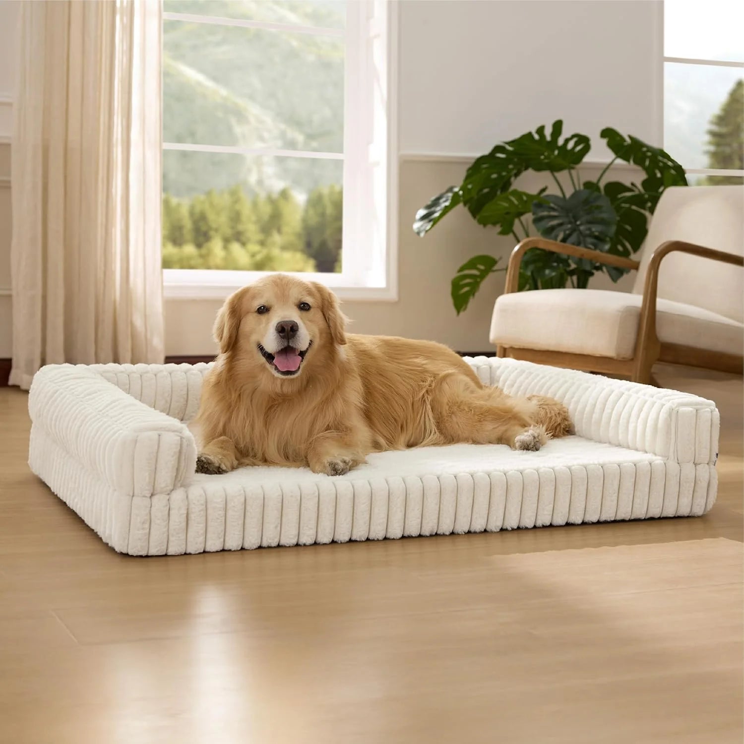Luxurious Orthopedic Dog Bed for Extra Large Dogs - Waterproof Memory Foam with Cozy Bolster and Washable Corduroy Cover in Cream