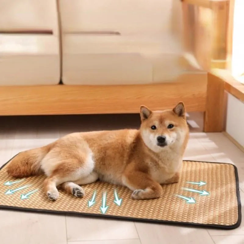 Dog Cooling Mat Summer Pet Cold Bed Extra Large for Small Medium Large Dogs Cats Pets Pet Ice Pad Dog Bed Cat Bed Pet Bed