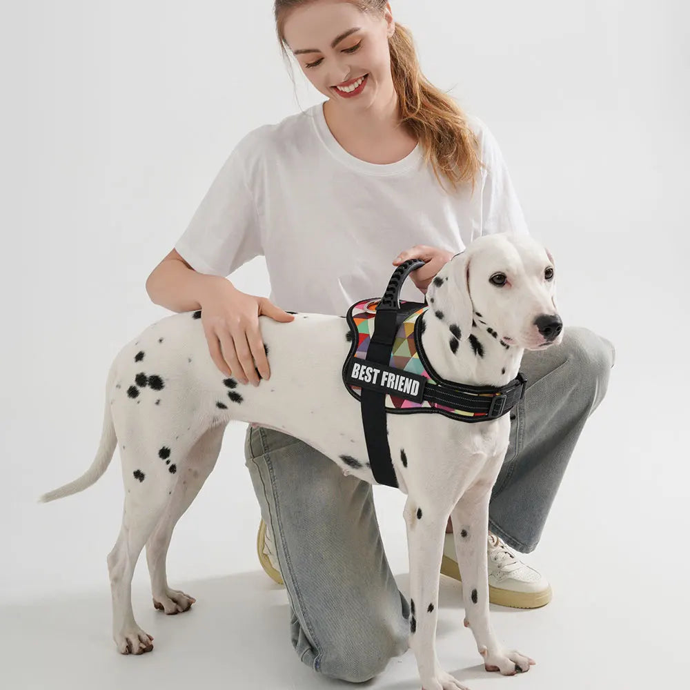 Pet Customizable Harness Vest for Small Medium Large Dog Classic Luxury Walking Dog Harness Adjustable No Pull Safe Pet Supplies