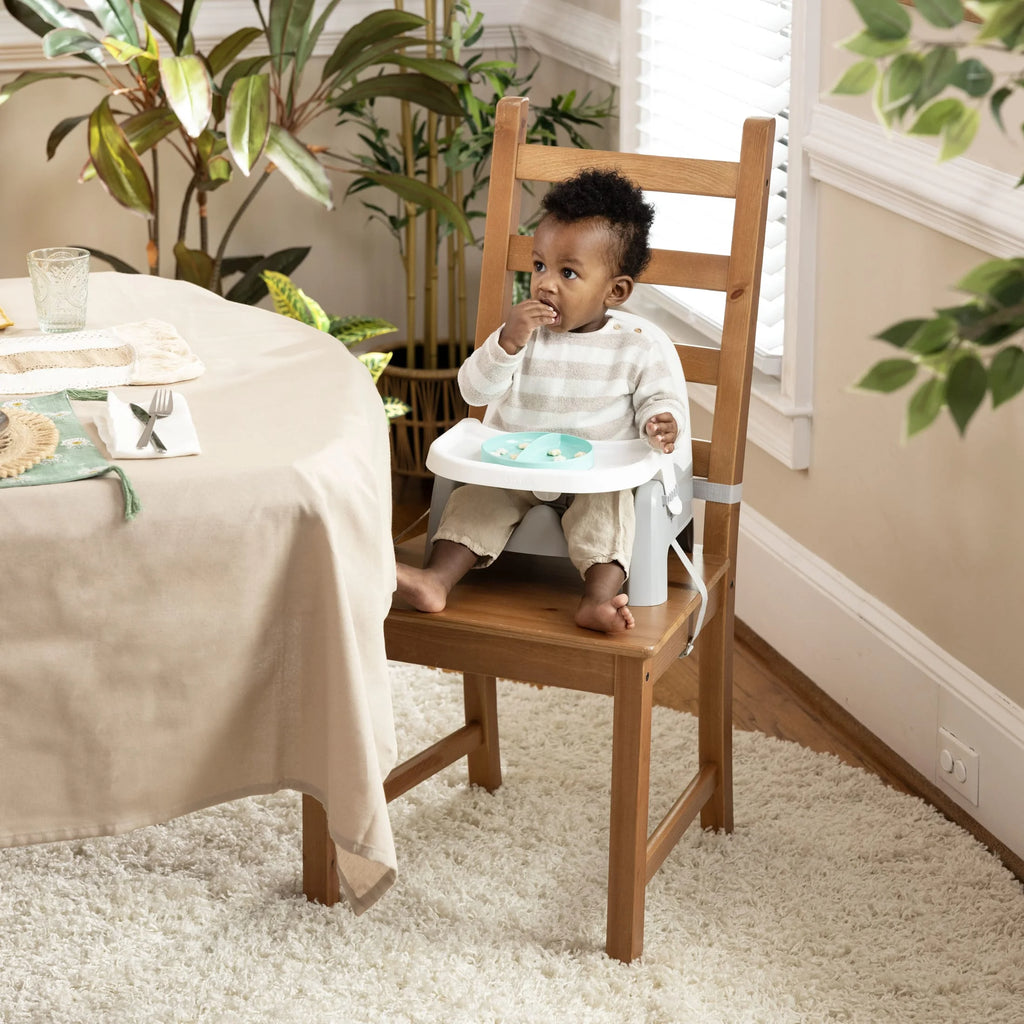 Deluxe Learn-To-Dine Feeding Seat for Ages 6 Months to 3 Years in Orange and Teal